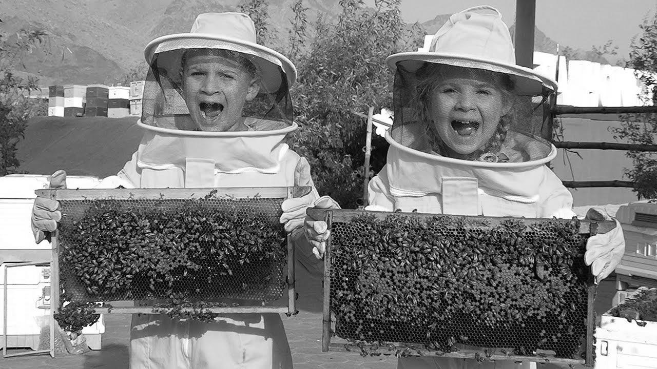 Diana and Roma Find out about Bees, HATTA Honey Bee Garden Tour – Enjoyable family trip
