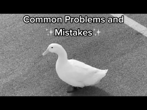 Easy methods to Pick Up a Duck #1 (full video)